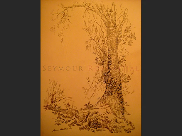 Study of a Tree 1961 II