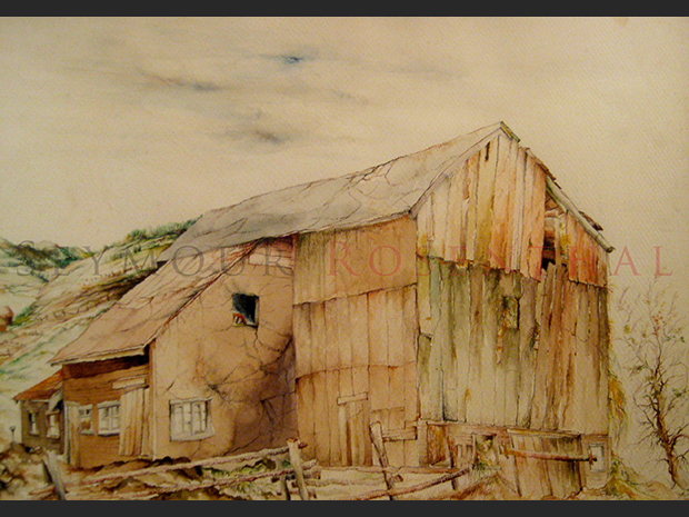 Farm at Halcottsville N.Y.