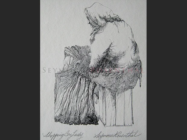 Shopping Bag Lady