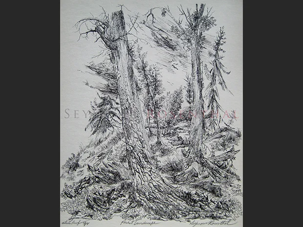 Forest Landscape