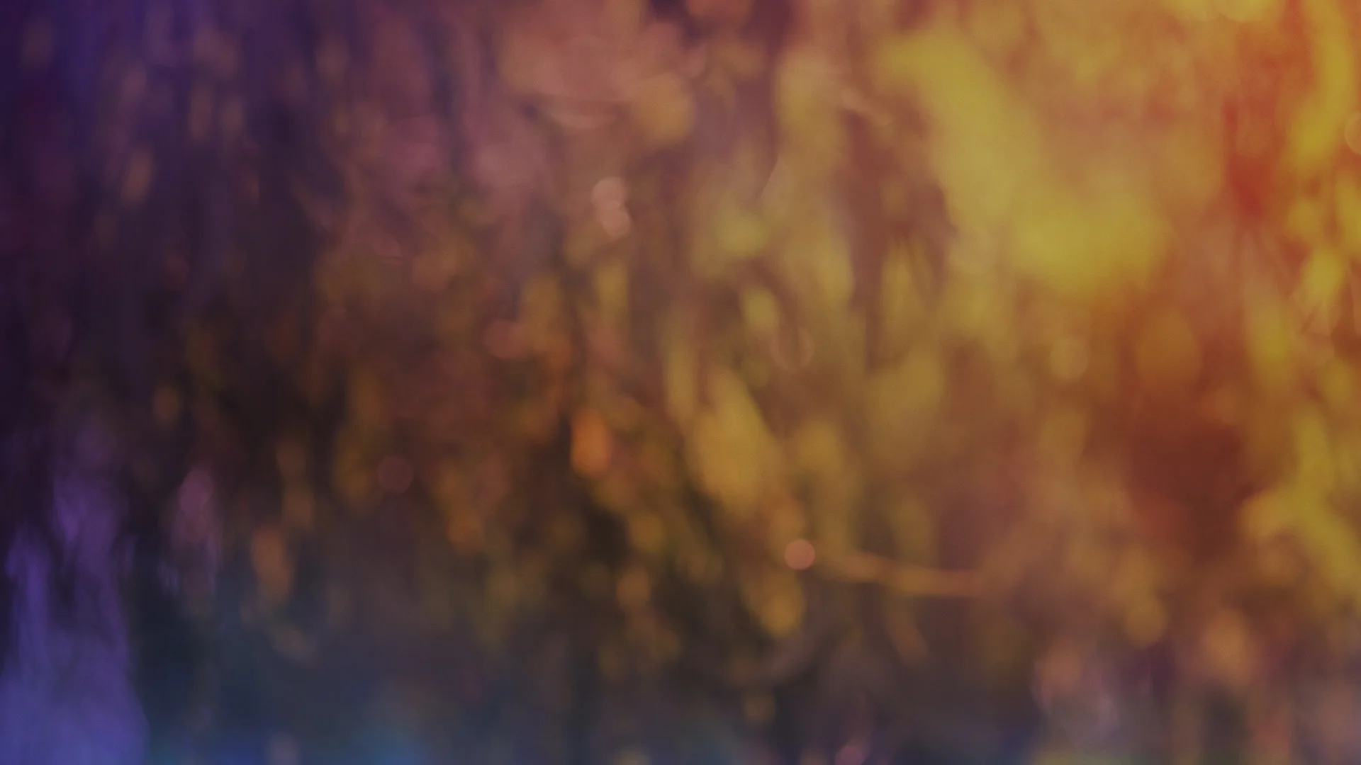 AO-Trees02.jpg