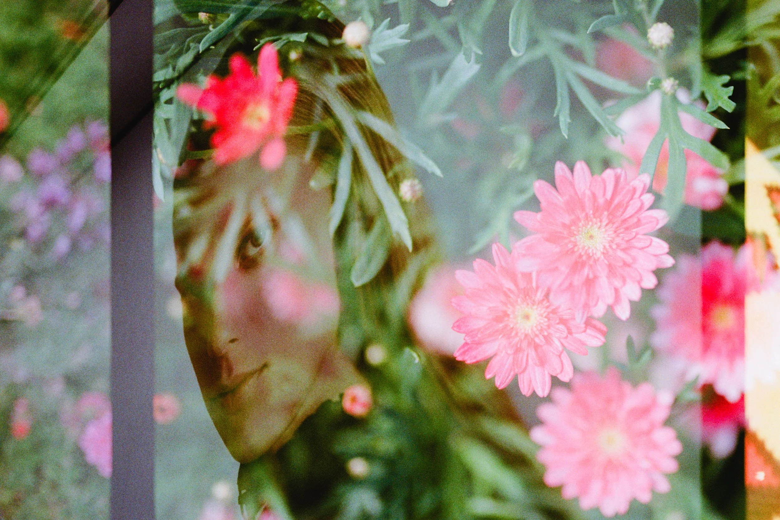 Endof Spring_Base_0003_Layer 7.jpg