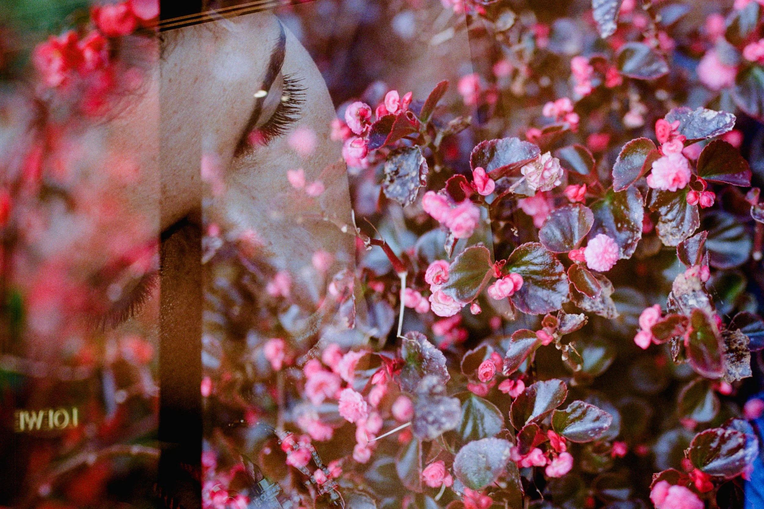 Endof Spring_Base_0006_Layer 4.jpg