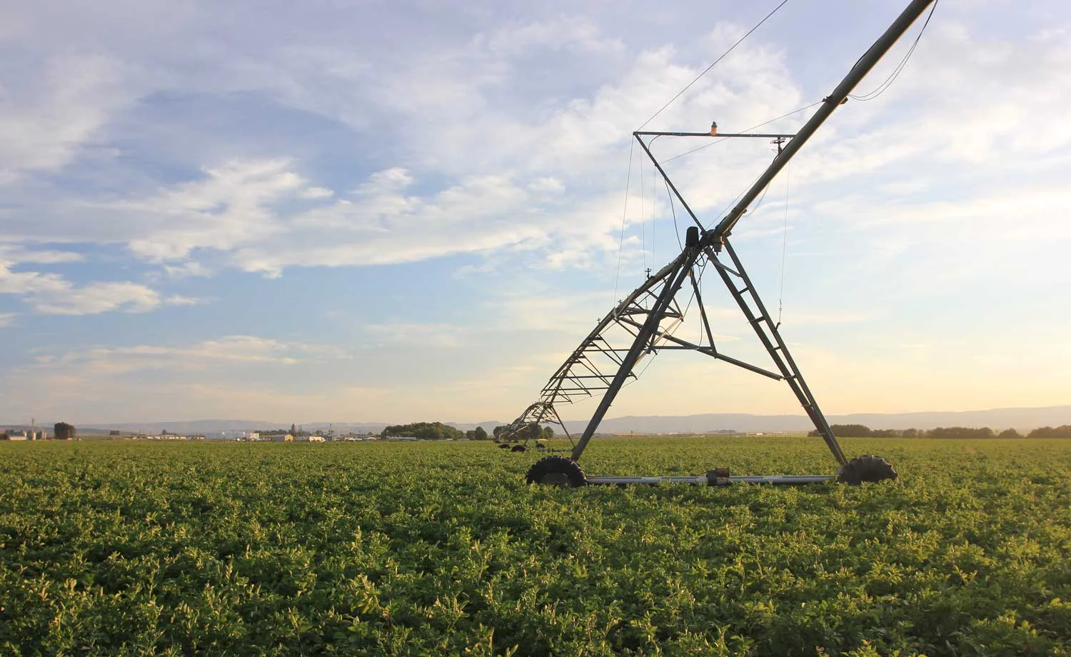 Irrigation-Field-Compass-Campbell.jpg