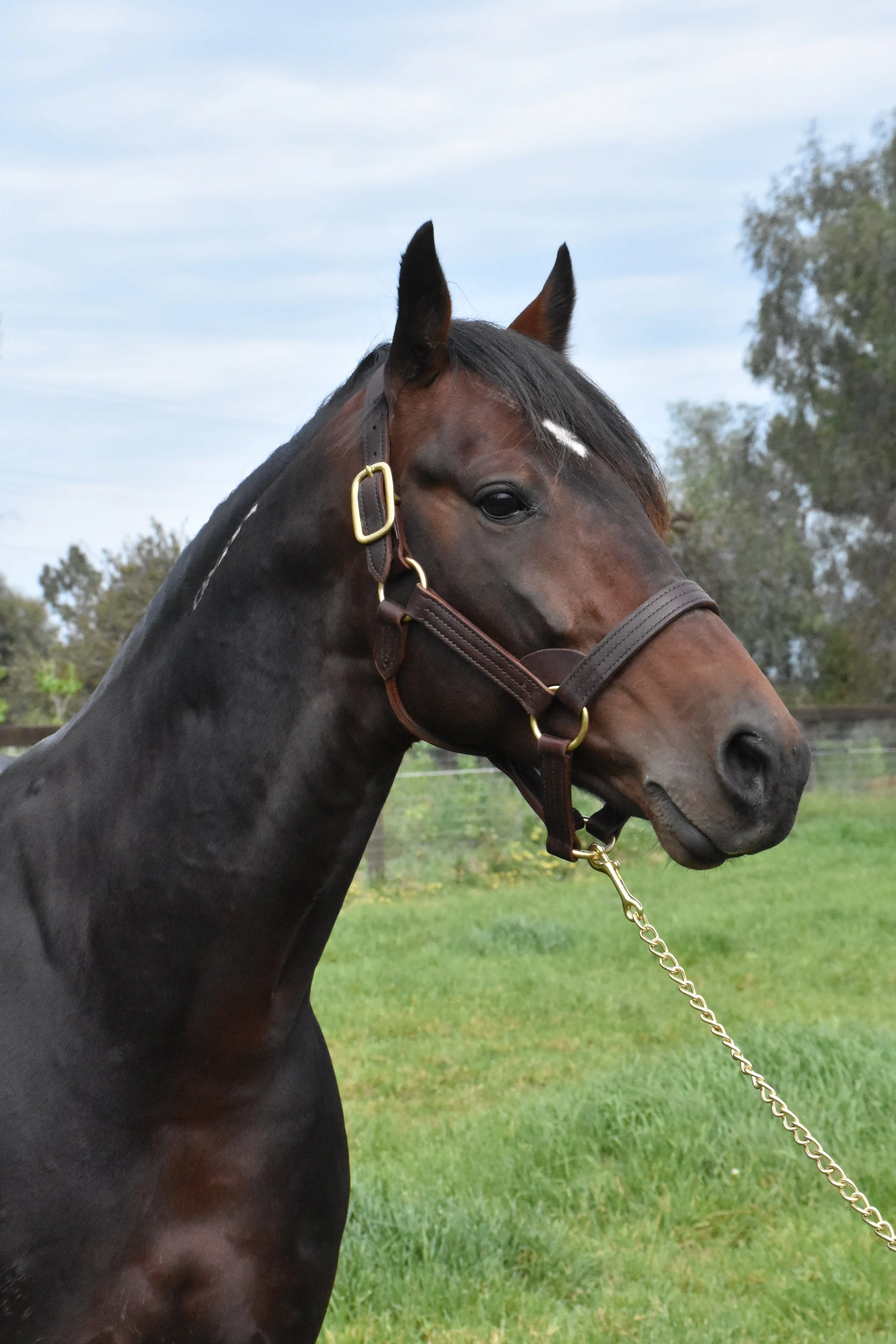 First Australian Winner for Dual World Champion