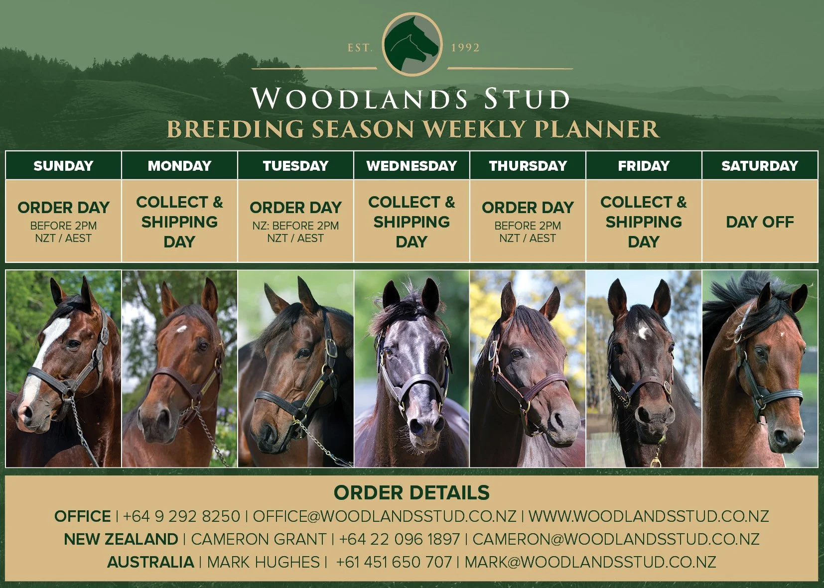 2024-25 Shipping Details