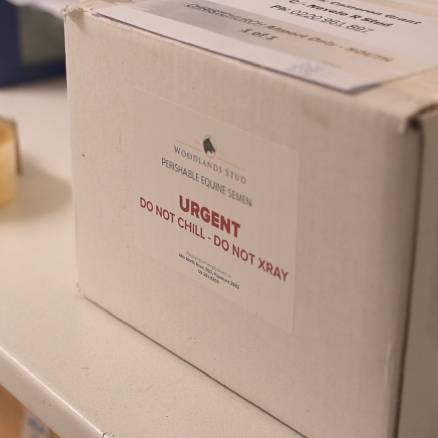 2025-26 SHIPPING INFORMATION