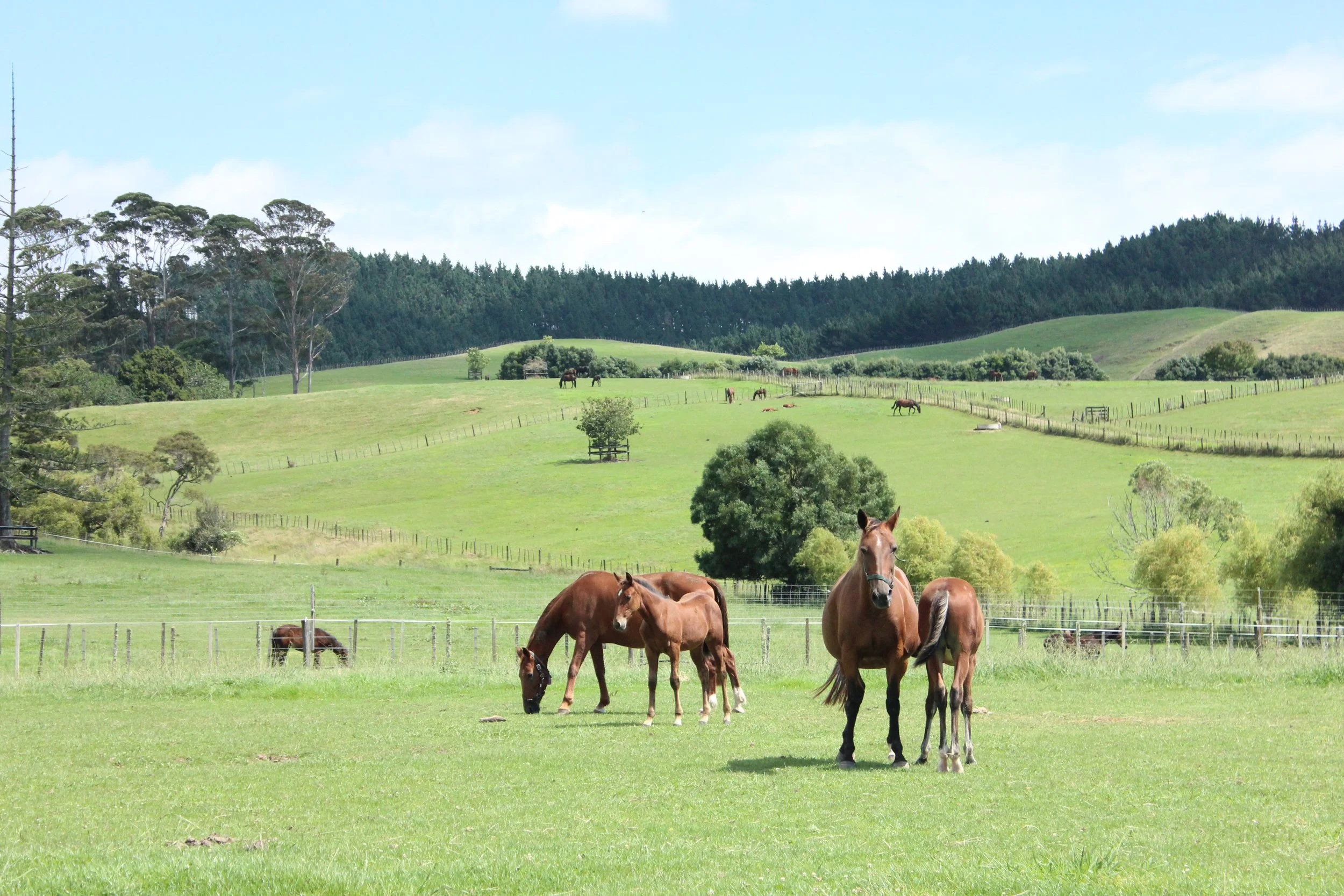 WS NEWS | Breeding Season is Here!