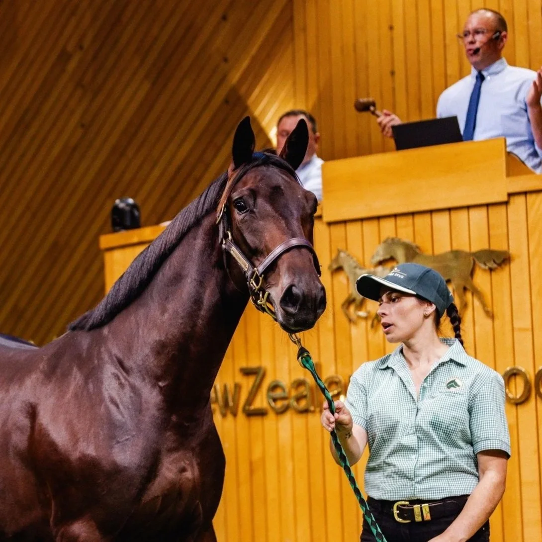 Woodlands Clean Sweep Sires Stakes Final