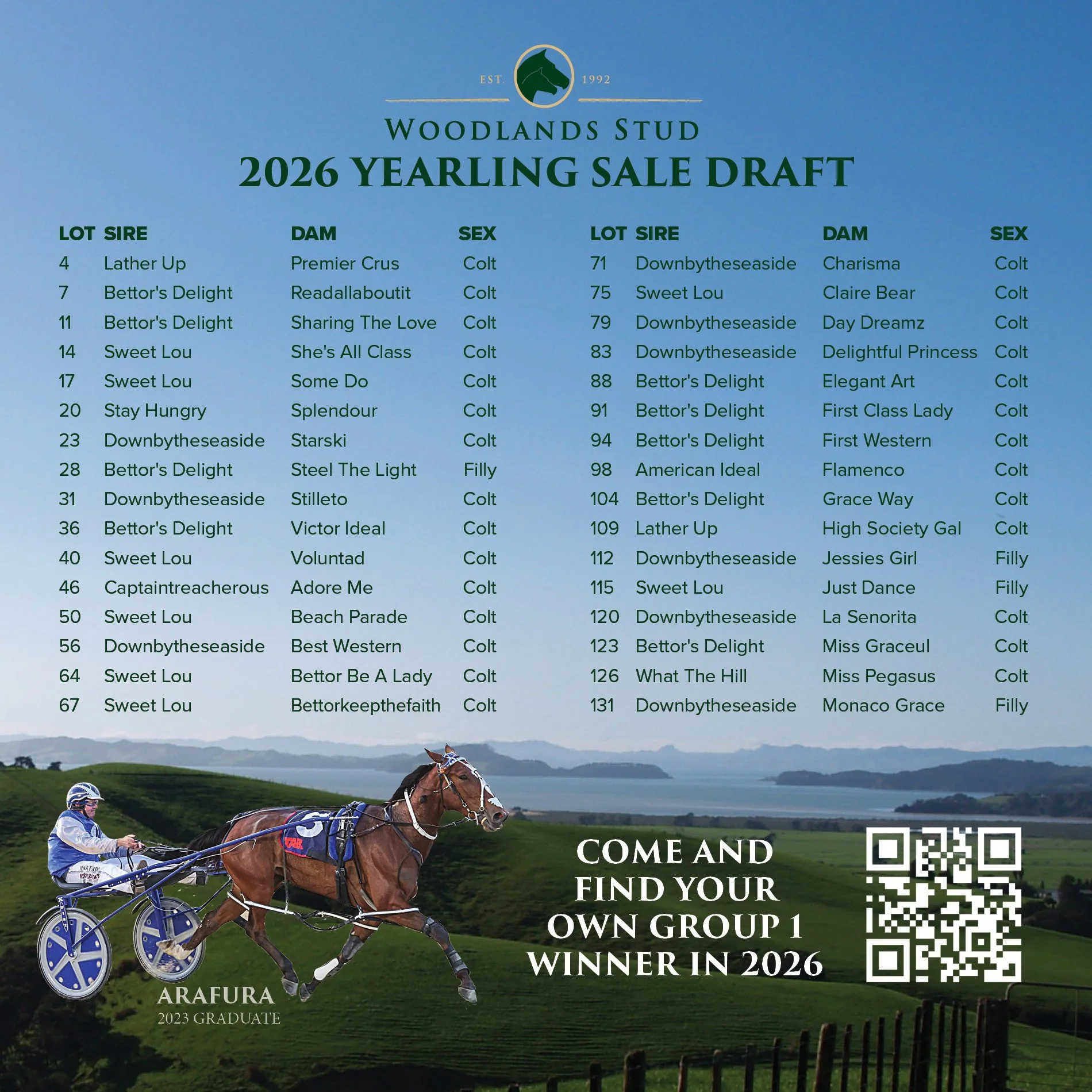 Woodlands Stud 2026 Yearling Draft
