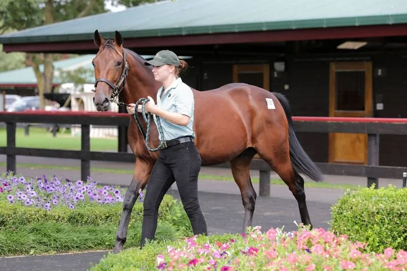 WS NEWS | 32 Elite Yearlings. One Week to Go!