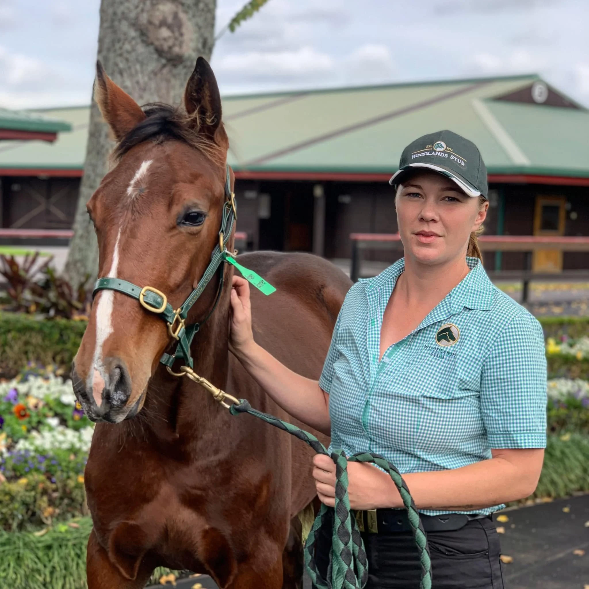 WOODLANDS WEANLINGS 2024