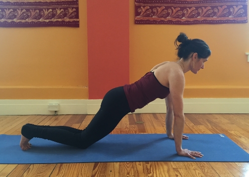 plank modified