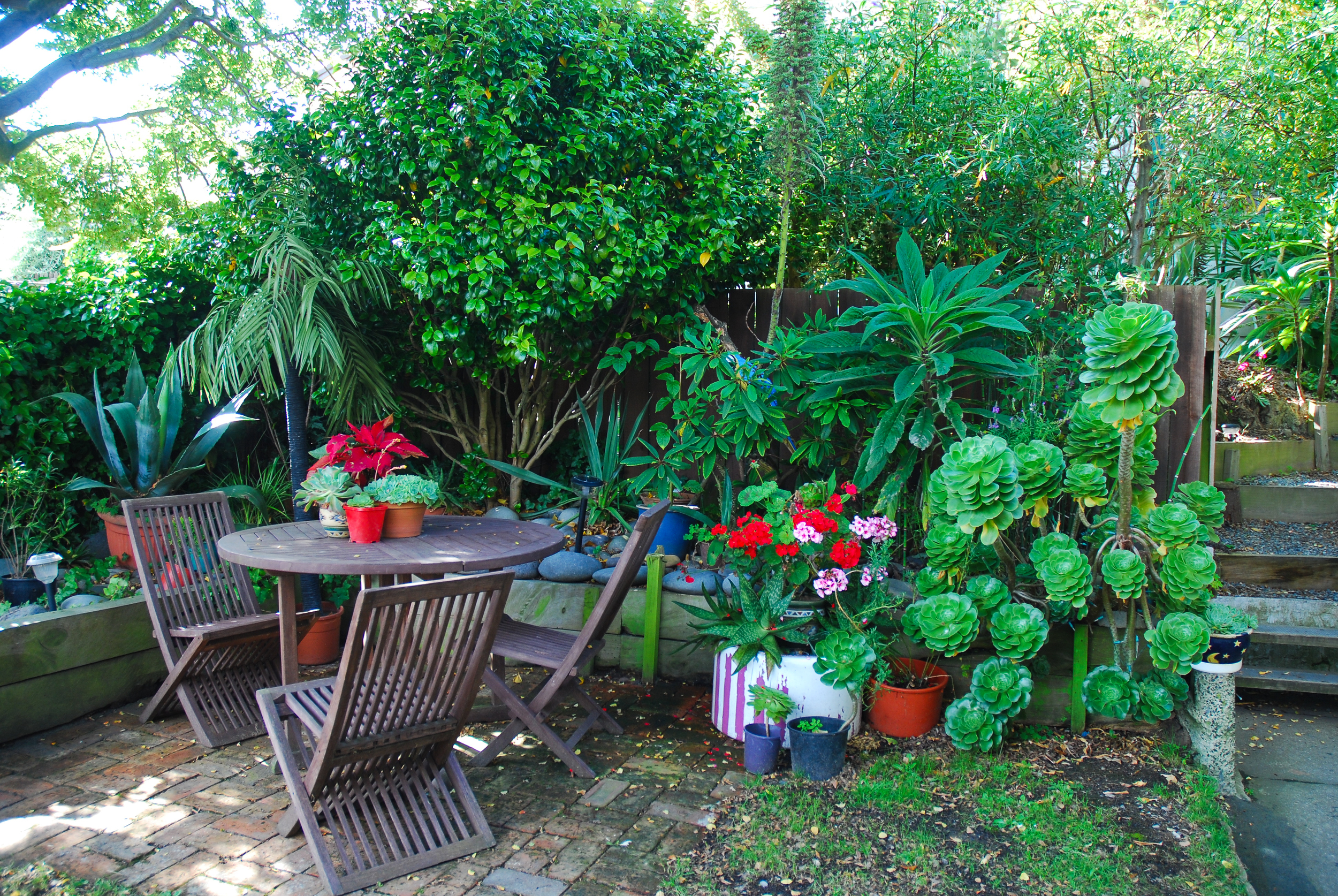 Beautiful, lush gardens at Arden Street House