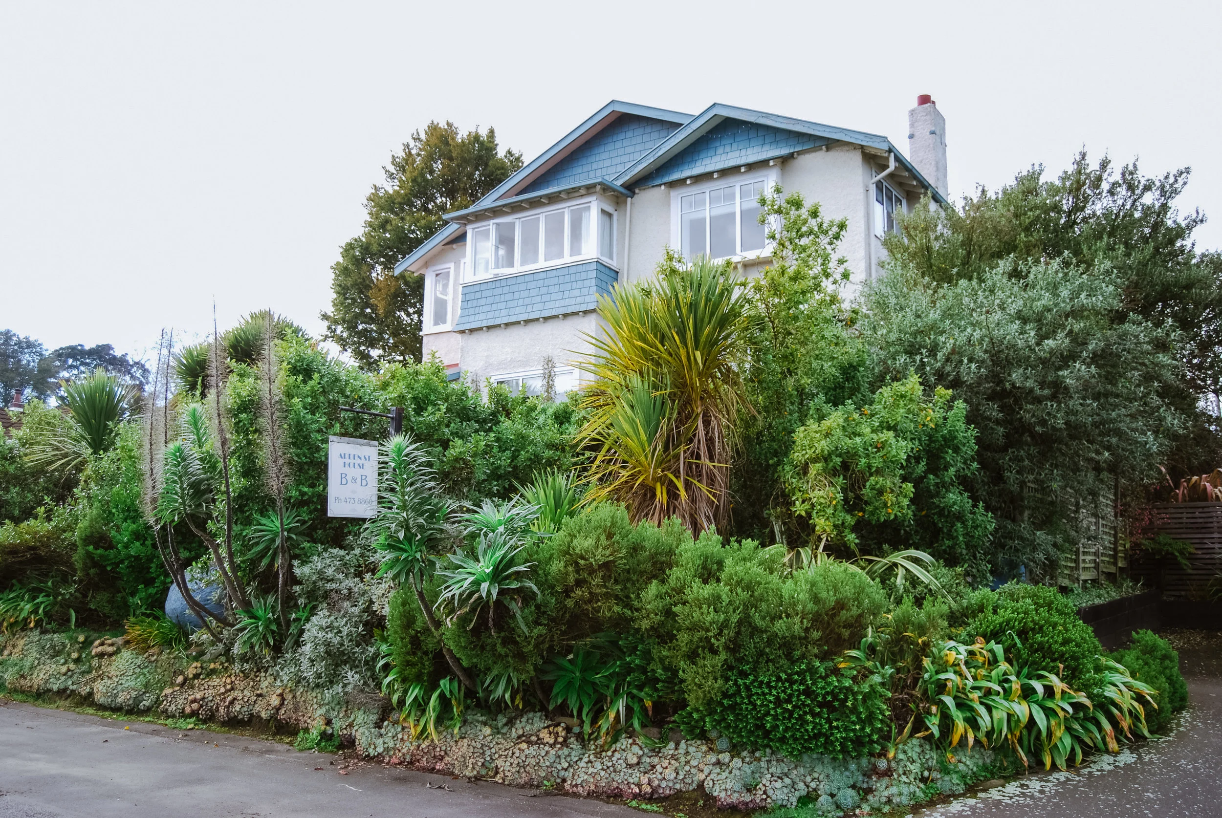 Arden Street House from the street
