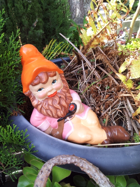 Happy Gnome.jpg