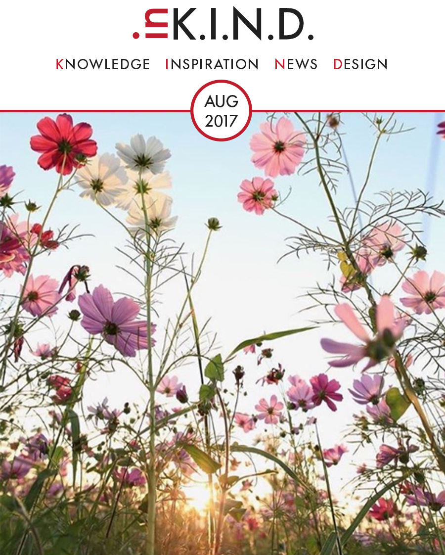 TP_Header de Fiddes Newsletter August.jpg