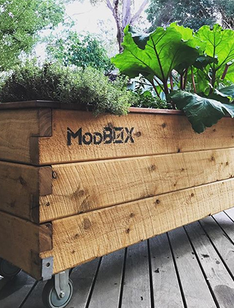 ModBOX Introduces Self Watering, Raised Waterbeds!