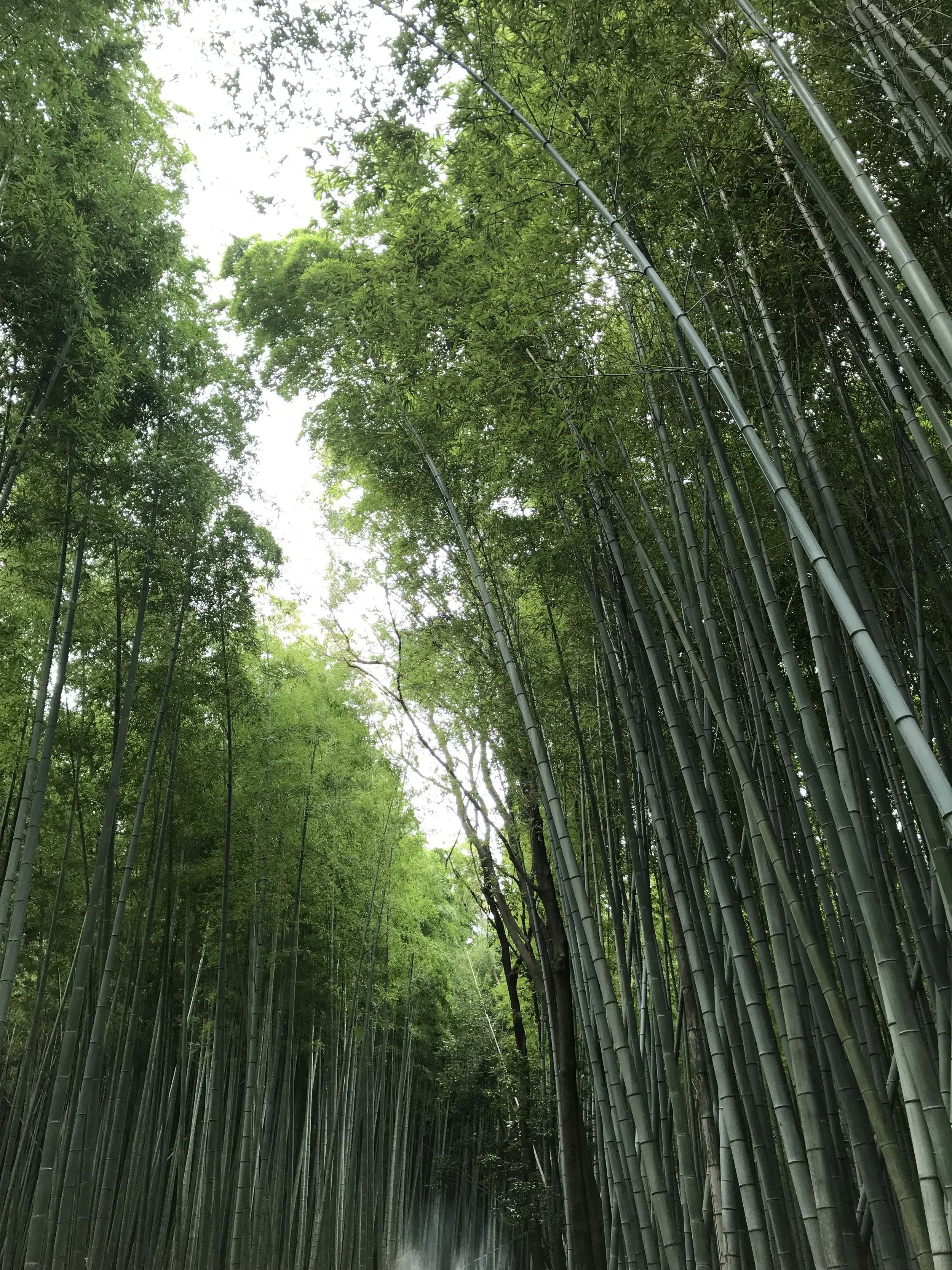Arashiyama, Kyoto