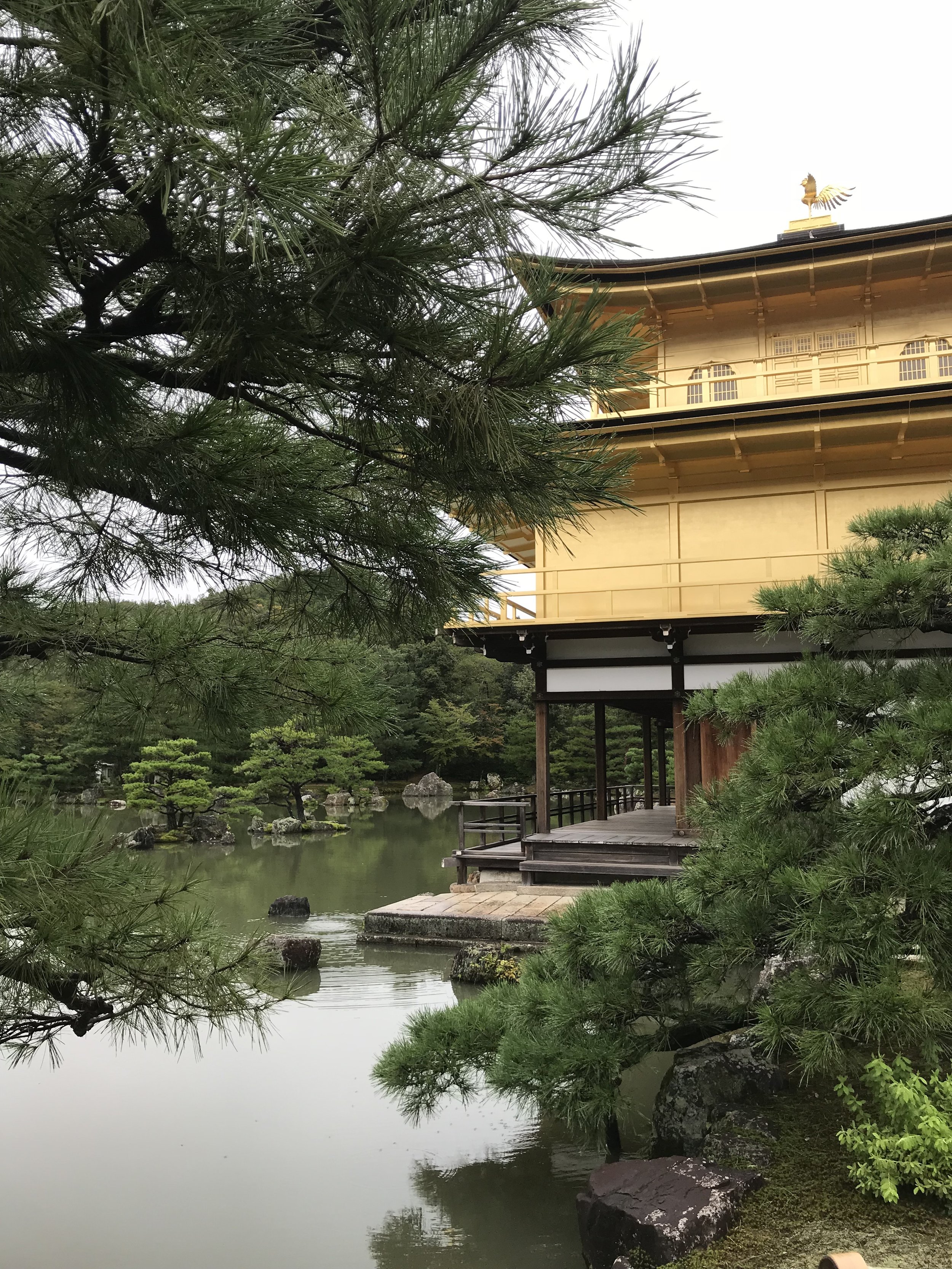 Kinkaku-ji Golden Temple, Kyoto