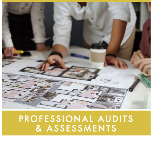 Professional Audits and Assessments Service de Fiddes (Copy)