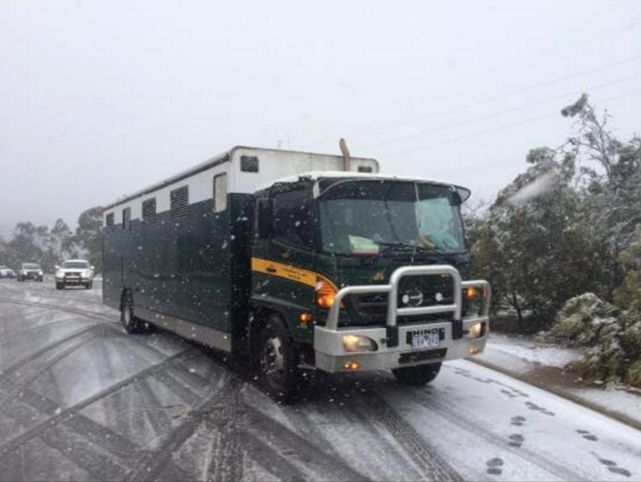 Screen Shot 2016-04-01 at 2.15.56 PM.png