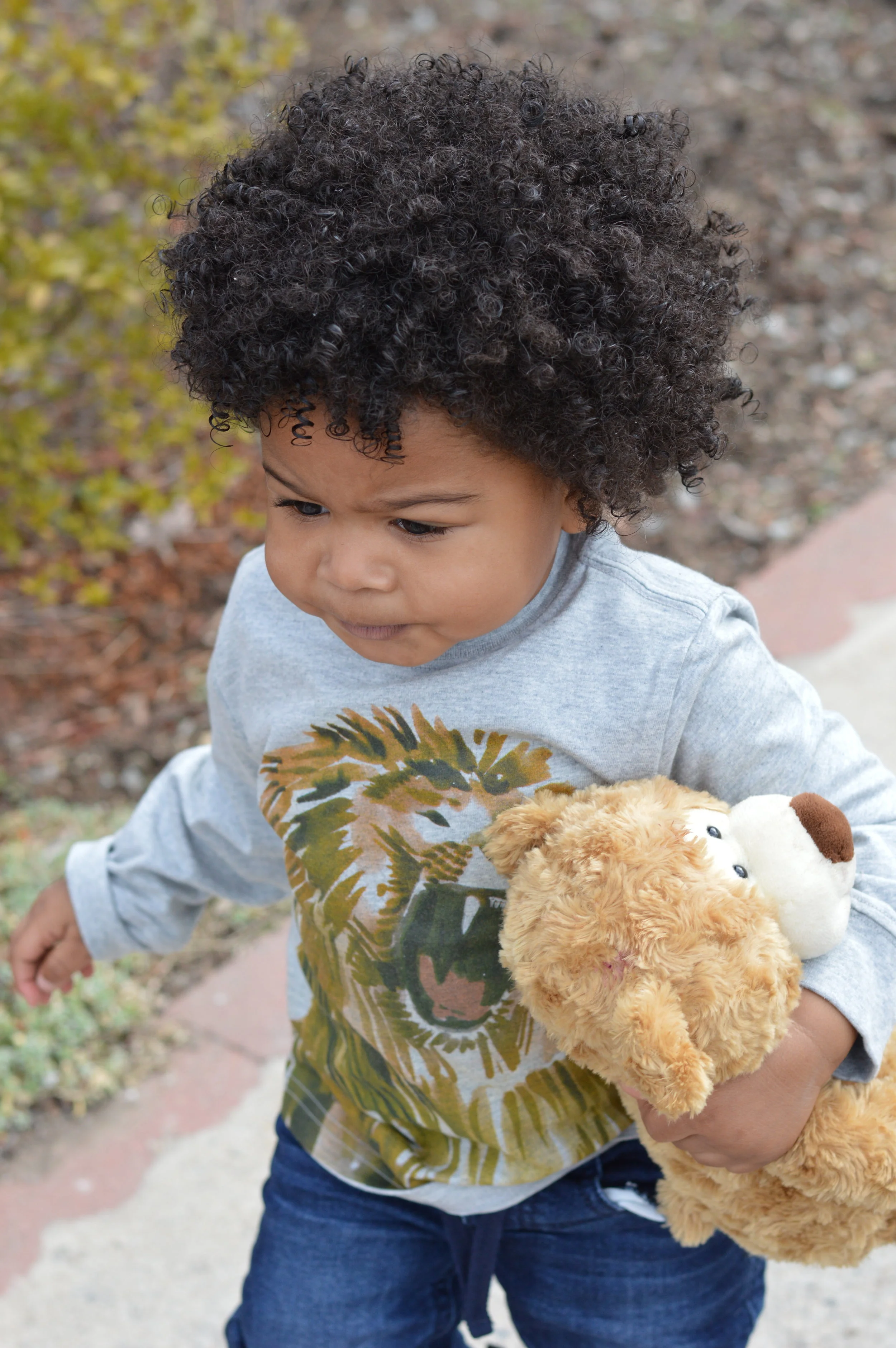 Little Lion Man