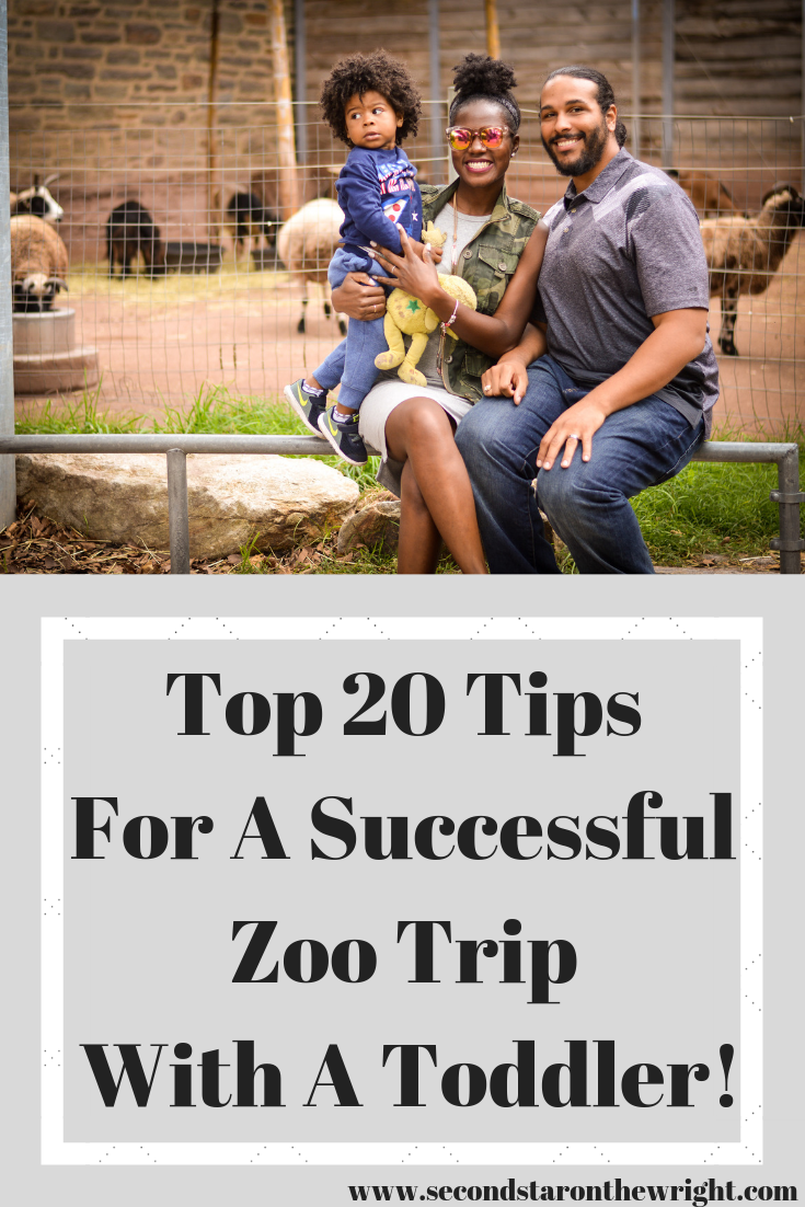 Top 20 Tips For A Successful Zoo Trip With A Toddler!.png