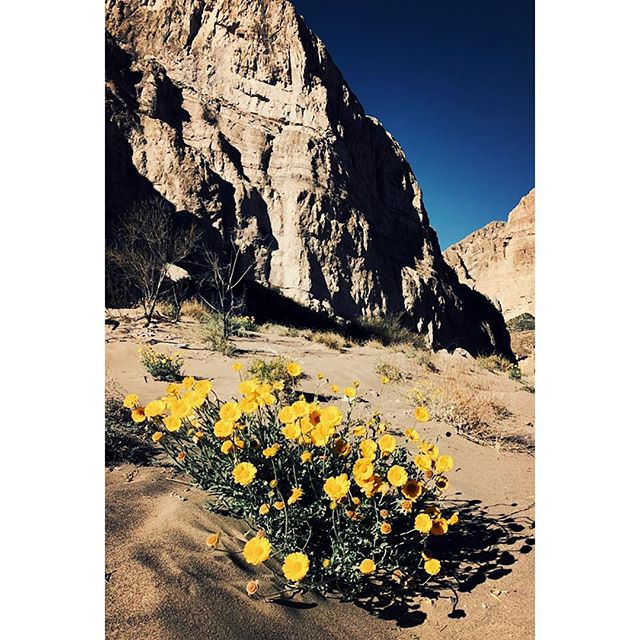 "If future generations are to remember us with gratitude rather than contempt, we must leave them something more than the miracles of technology. We must leave them a glimpse of the world as it was in the beginning, not just after we got through with it." — Lyndon B. Johnson, 37th President of the United States. #Boquillas Canyon, #TexMex #border, #BigBendNationalPark #Wilderness #WildernessQuotes #LyndonBJohnson