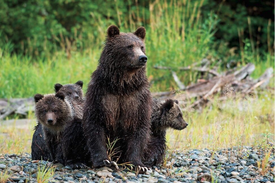 Screen Shot 2023-05-08 at 12.38.26 PM.png