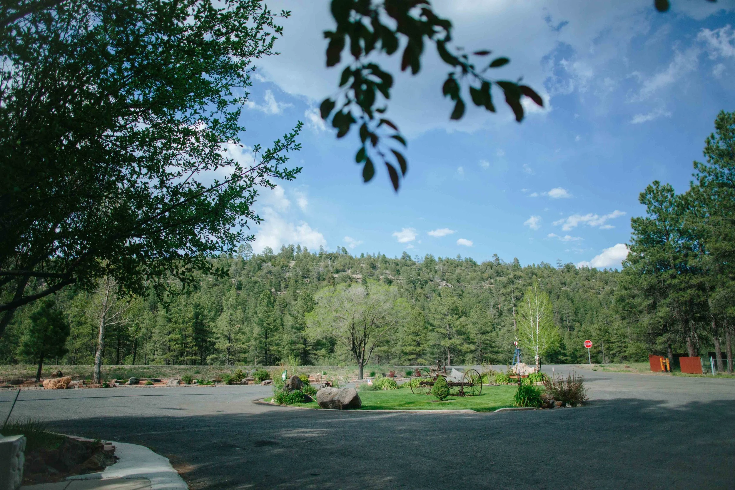 RV Park — Lake Mary Country Store, Trailer Park, & Boat Rentals