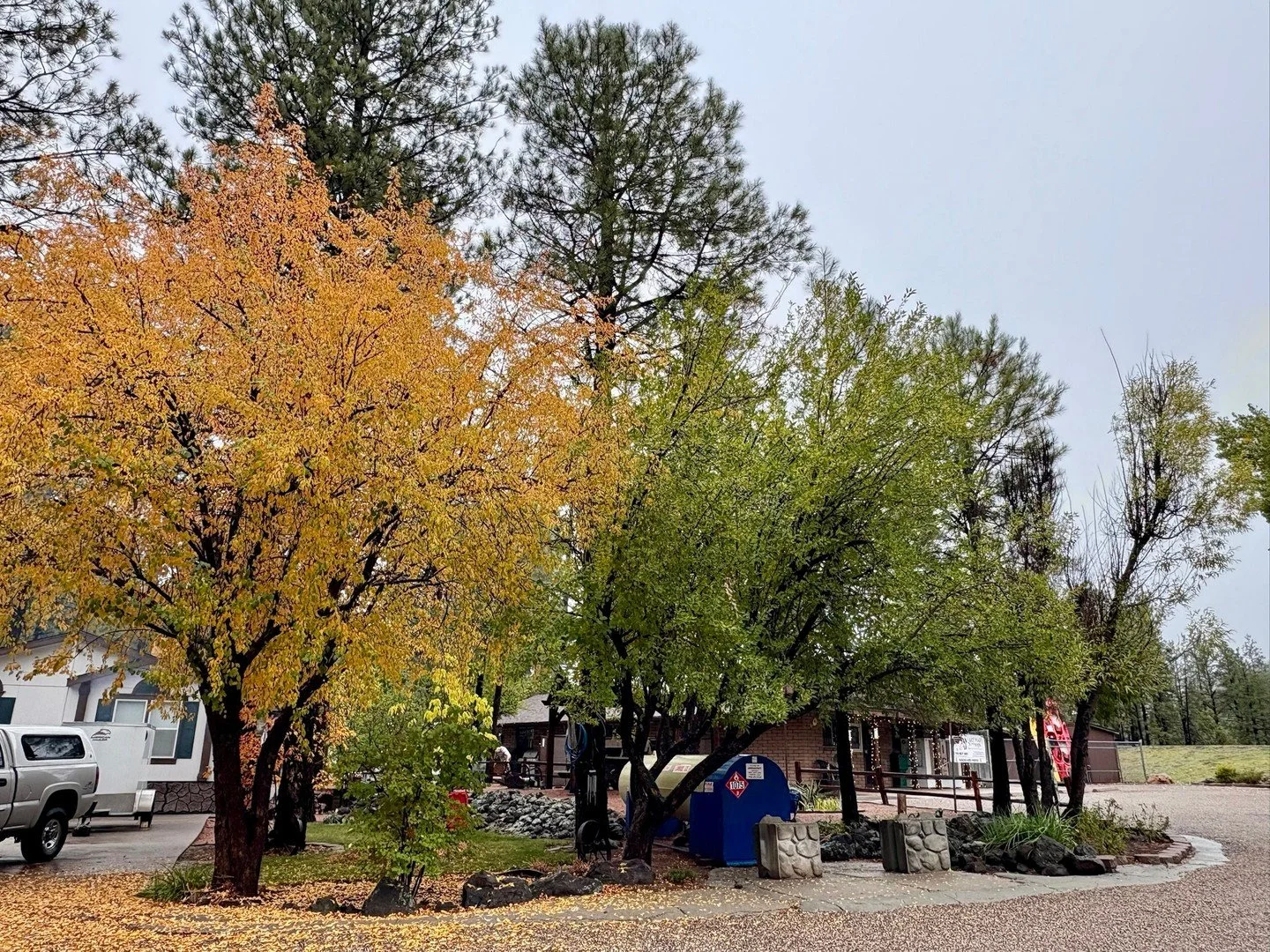 Even when our doors are closed for the season, the pines and the water are still calling. 🌲✨⁠
Come wander the shores of Lake Mary and remind yourself why we love this place &mdash; but hurry, the fall colors won&rsquo;t last long! 🍂⁠
⁠
⁠
Lake Mary 