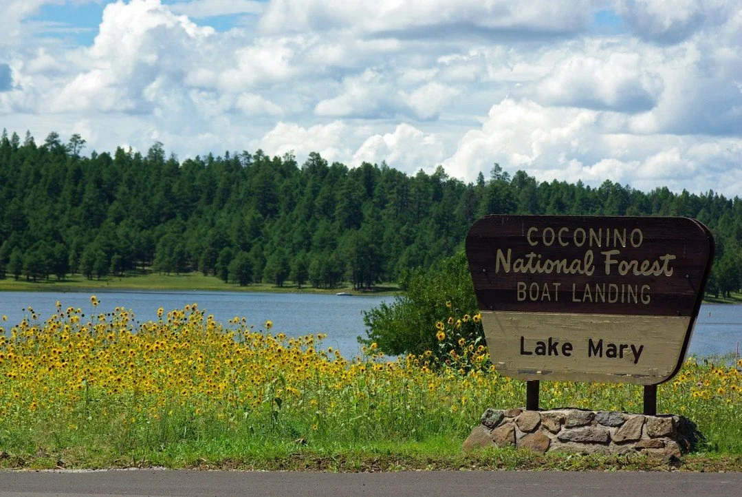 Did you know Lake Mary is actually two lakes &mdash; Upper and Lower &mdash; tucked just 12 miles southeast of Flagstaff in the Coconino National Forest? 🌲💧⁠
⁠
Upper Lake Mary is the larger of the two and is known for boating, fishing, and those mi
