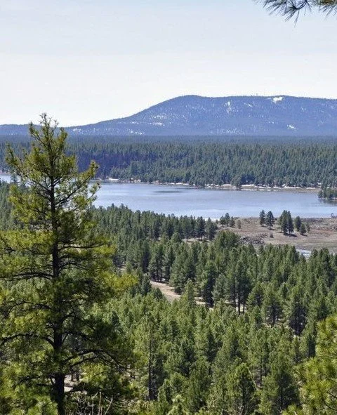 Lake Mary is one of Flagstaff&rsquo;s favorite escapes &mdash; a man-made reservoir that provides both beauty and purpose. 💧⁠
⁠
Originally built in 1905 and later expanded, Lake Mary is one of the main water sources for the City of Flagstaff. Surrou