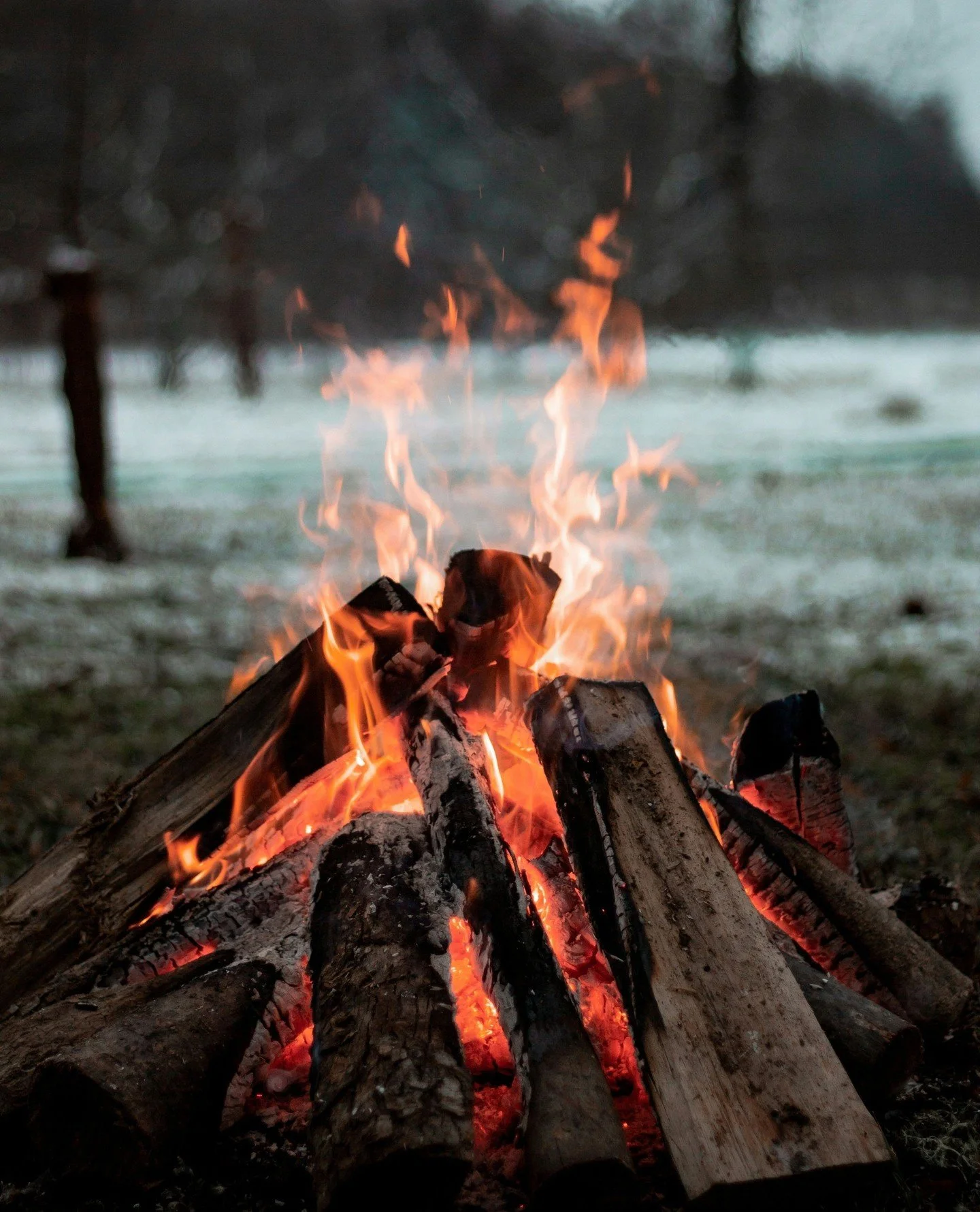 Cool weather, a hot fire, and that Northern Arizona quiet we all love. 🍂🔥⁠
No matter the season, there&rsquo;s always something beautiful to enjoy out here &mdash; just remember to keep your fires safe and fully out before you head home. 🌲✨⁠
⁠
⁠
⁠