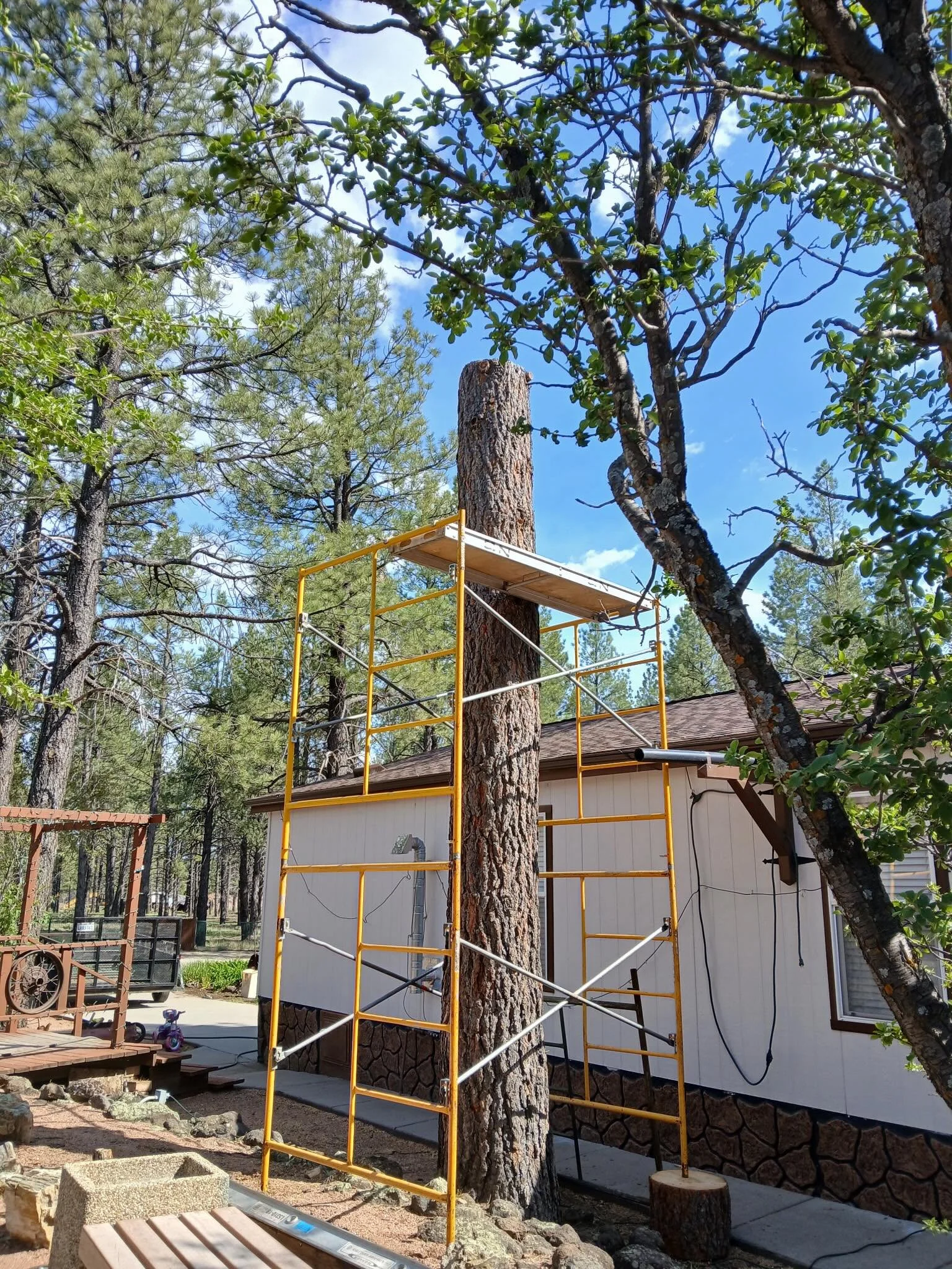 50 years rooted in the pines&hellip; and now carved into them too. 🌲✨

We are OBSESSED with our brand new tree carving at the Lake Mary Country Store &mdash; a piece of art that feels like the perfect tribute to the history, stories, and people that