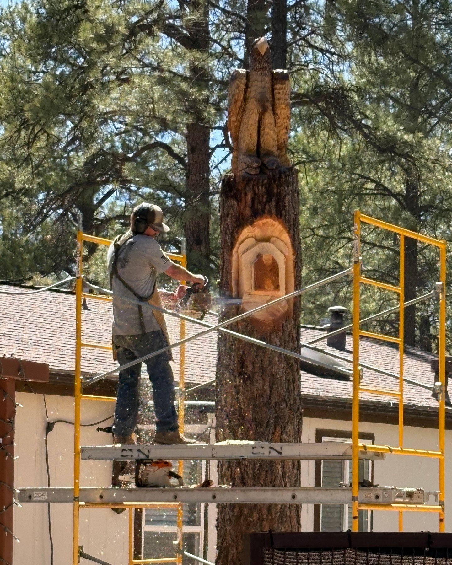 👀 What&rsquo;s coming next to the LMCS tree carving&hellip; any guesses? 🌲🎣

First person to guess correctly wins:
🪱 A FREE carton of worms
🎟️ A Lake Mary Country Store sticker

Drop your guess below ⬇️ and keep your eyes on the carving as we ge