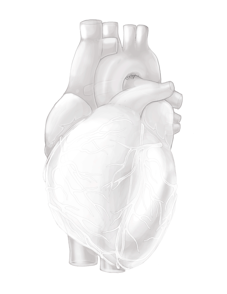 Glass Heart Animatic Graphic, 2016