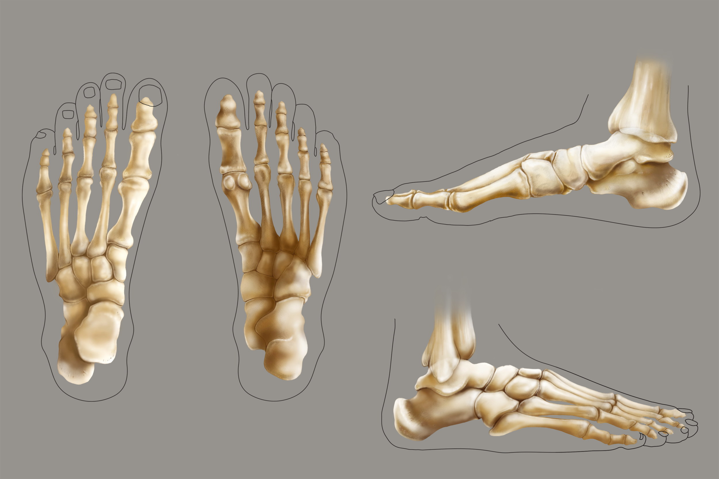 foots.png