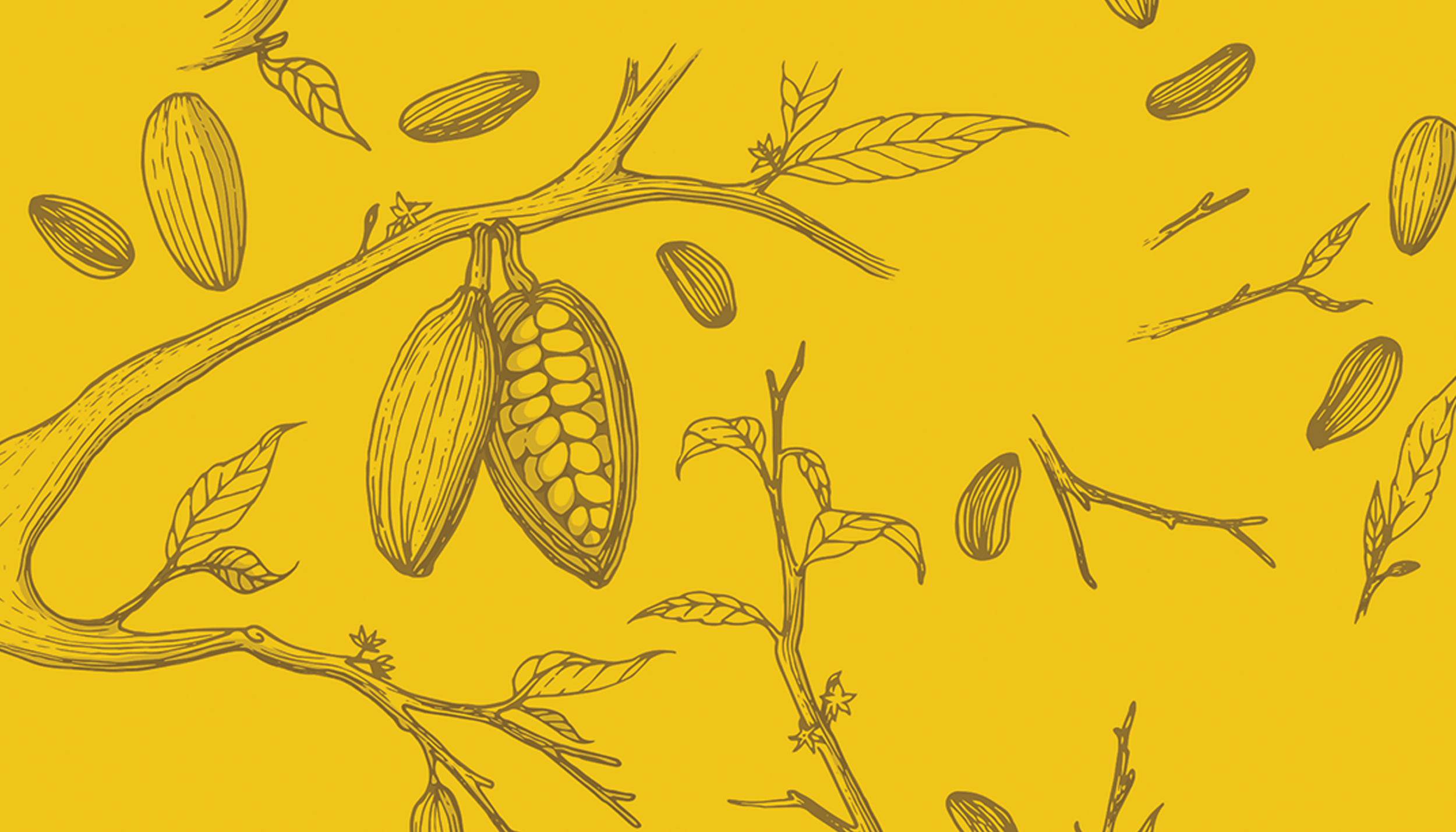 Condor participates in an American movement of chocolate production known to many as ‘bean-to-bar’. There is a terroir-variability with its products and a likeness in character that matches the well-acquainted farm-to-table ideal.