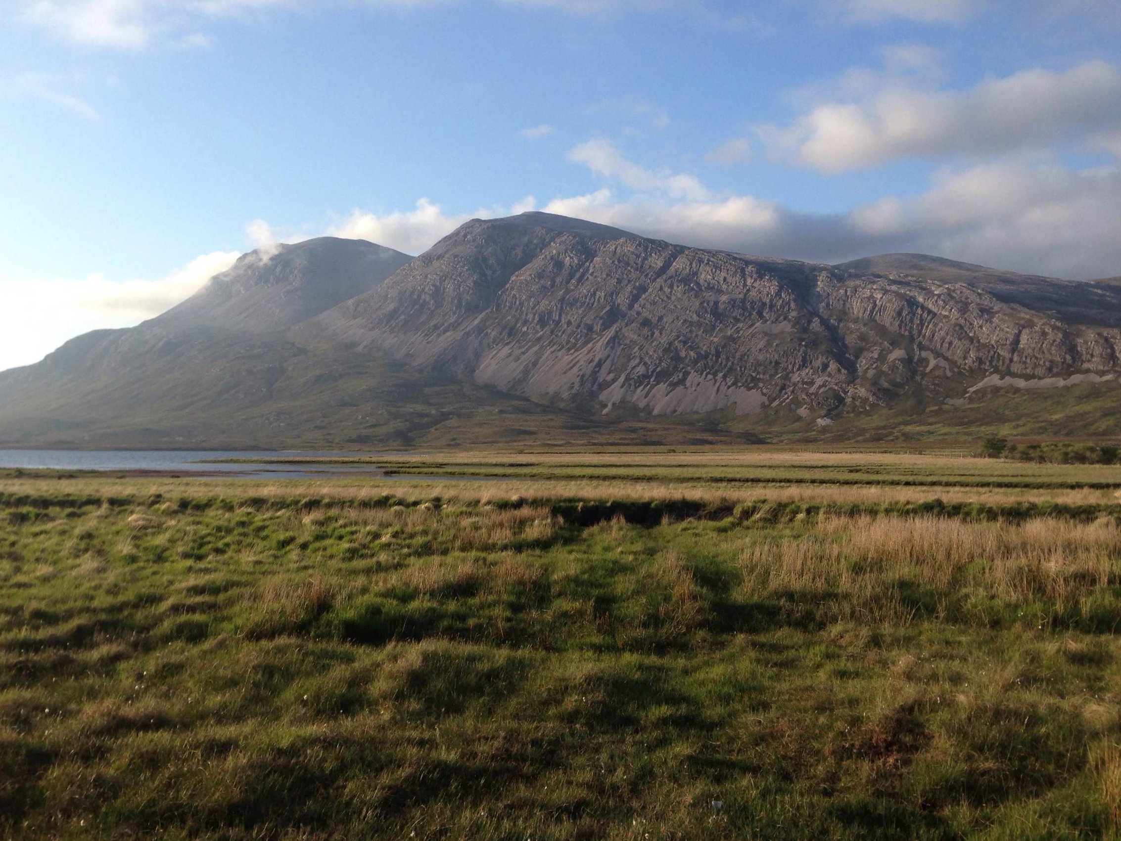 Arkle