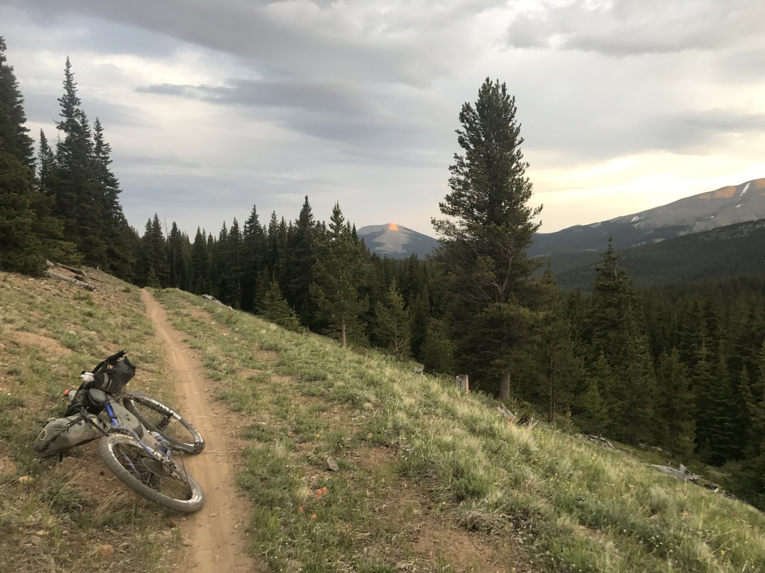 Single track solitude on Boreous Pass, Colordao