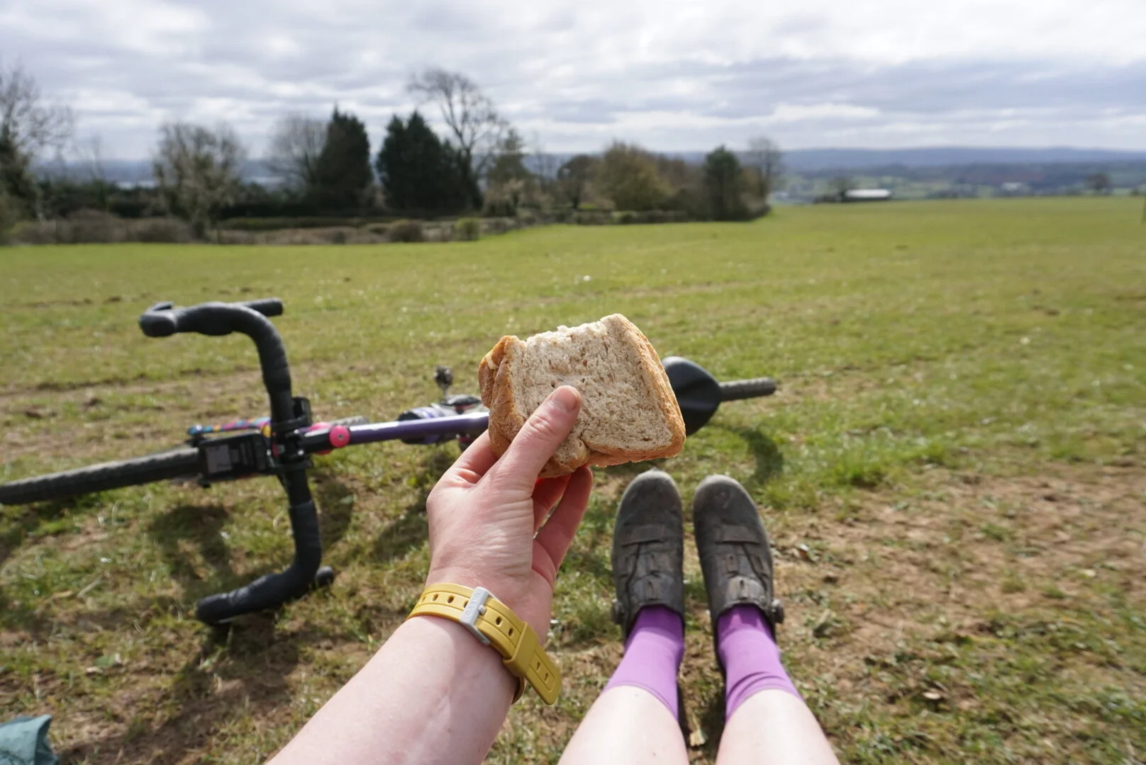 Life in Lockdown - Summer V2.0 (Katherine Moore)