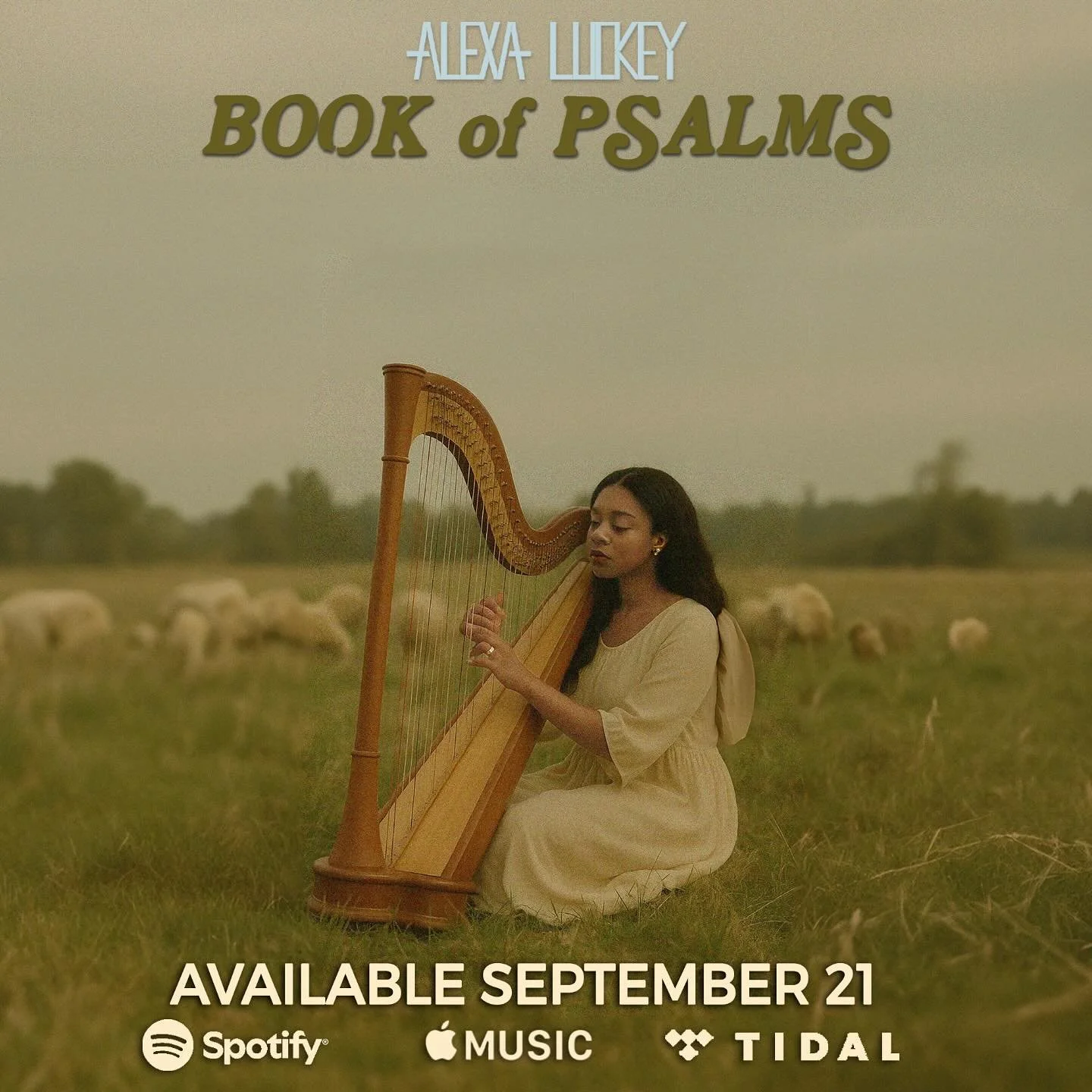 Book Of Psalms. 9.21.2025. 
A collection of writings and sounds from the field. 

Inspired by David. Inspired by the Psalms. But genuinely&mdash;from my heart, my eyes, and my ears. 

Can&rsquo;t wait to share this work in a few weeks. :) Hope Book o