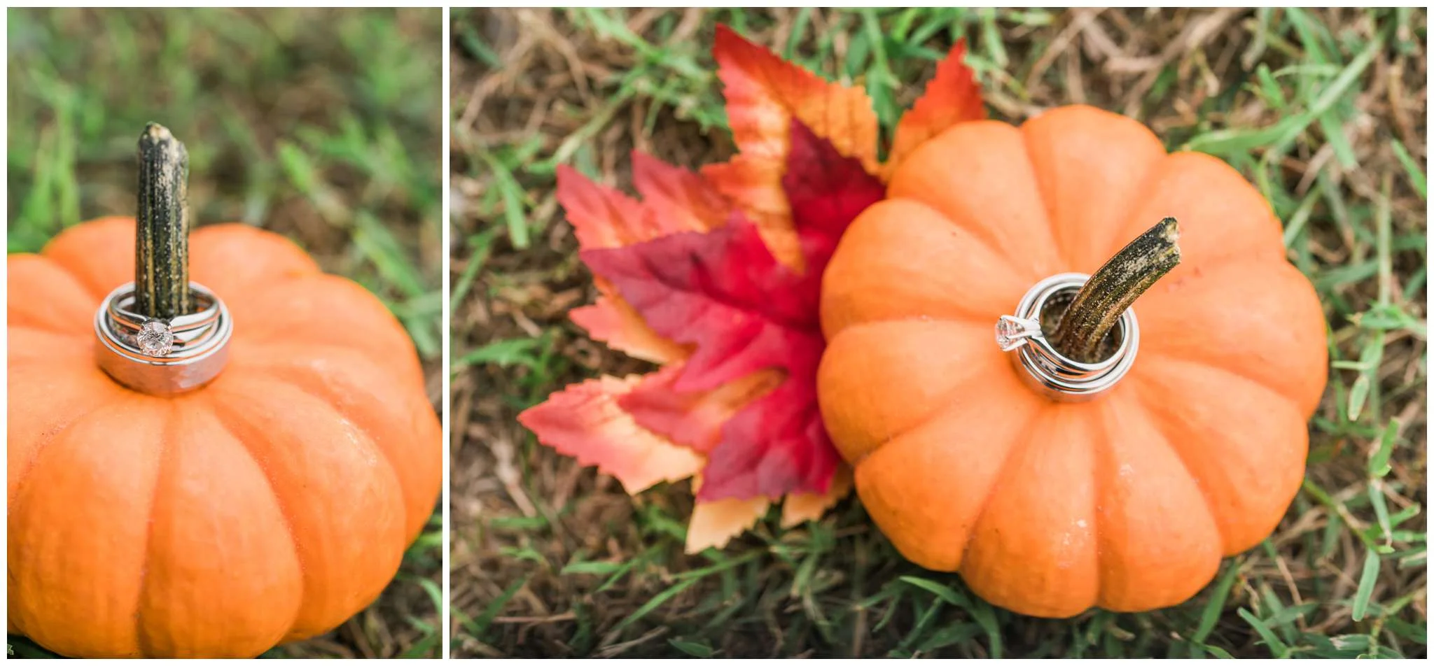 Shipley Wedding_2842.jpg