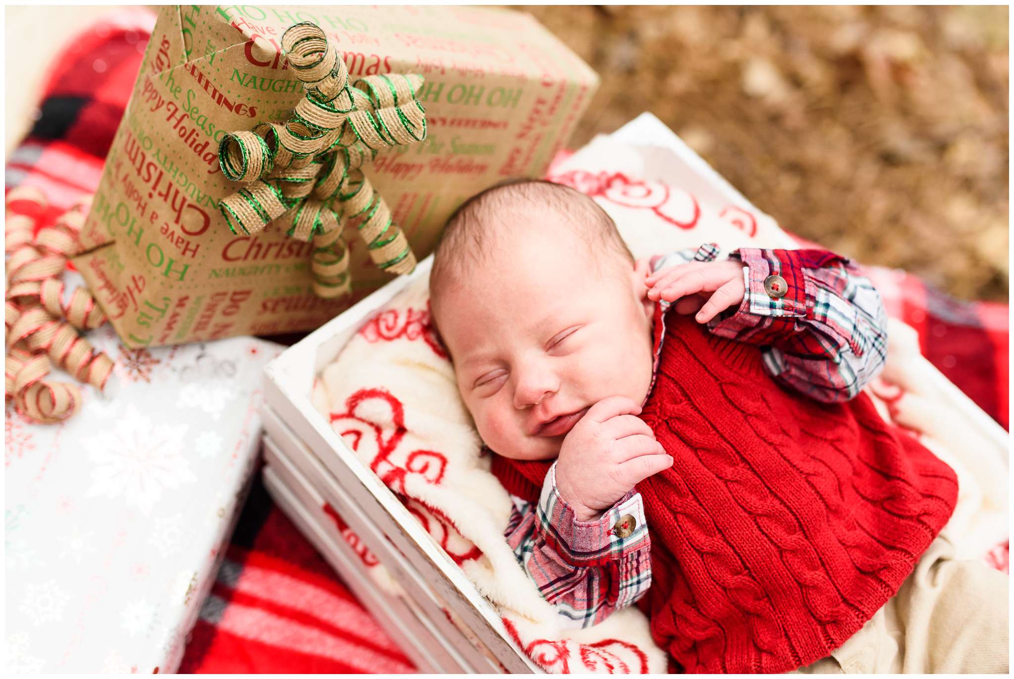 Isn't he adorable??? 