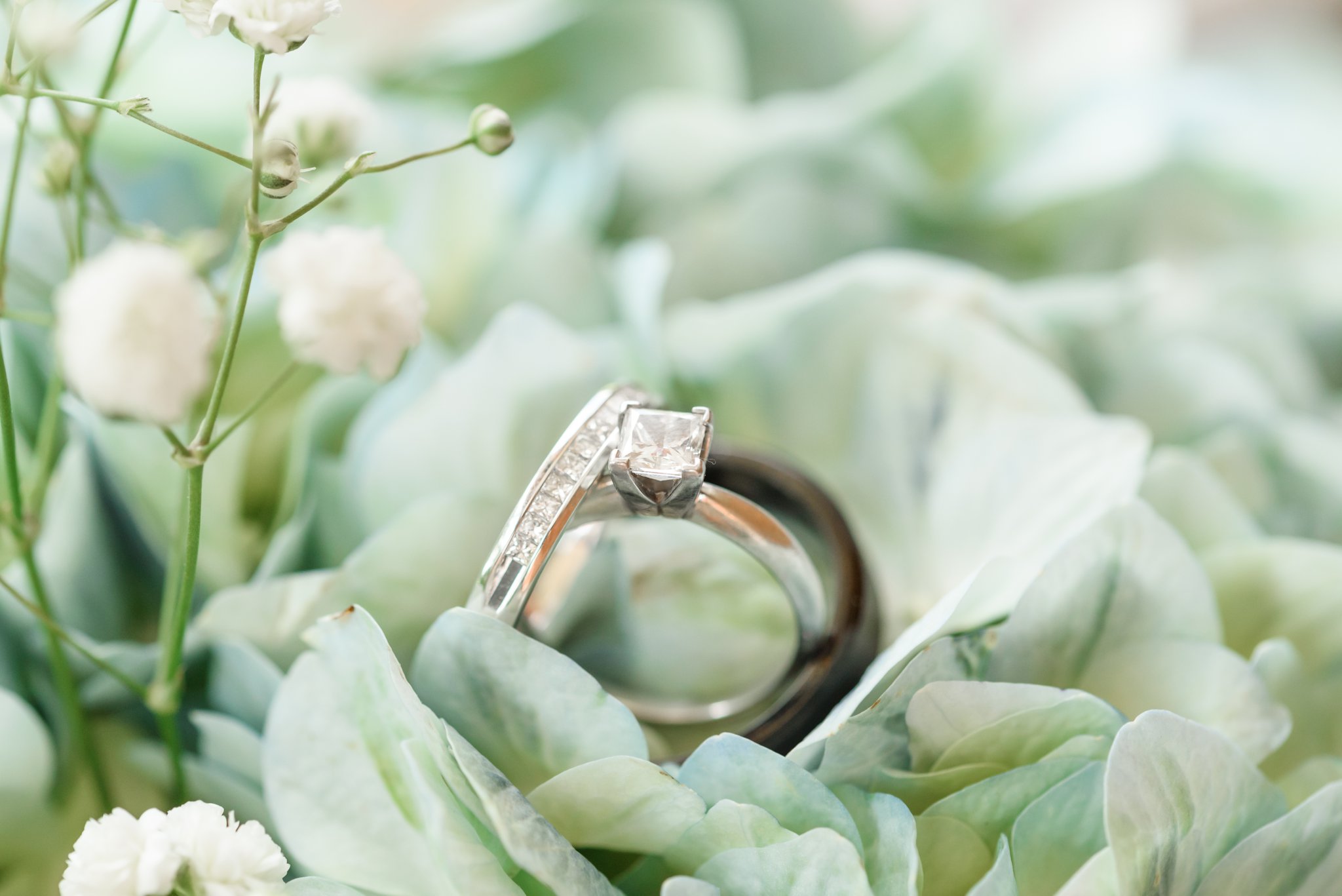 Haleys Bridals_0521.jpg
