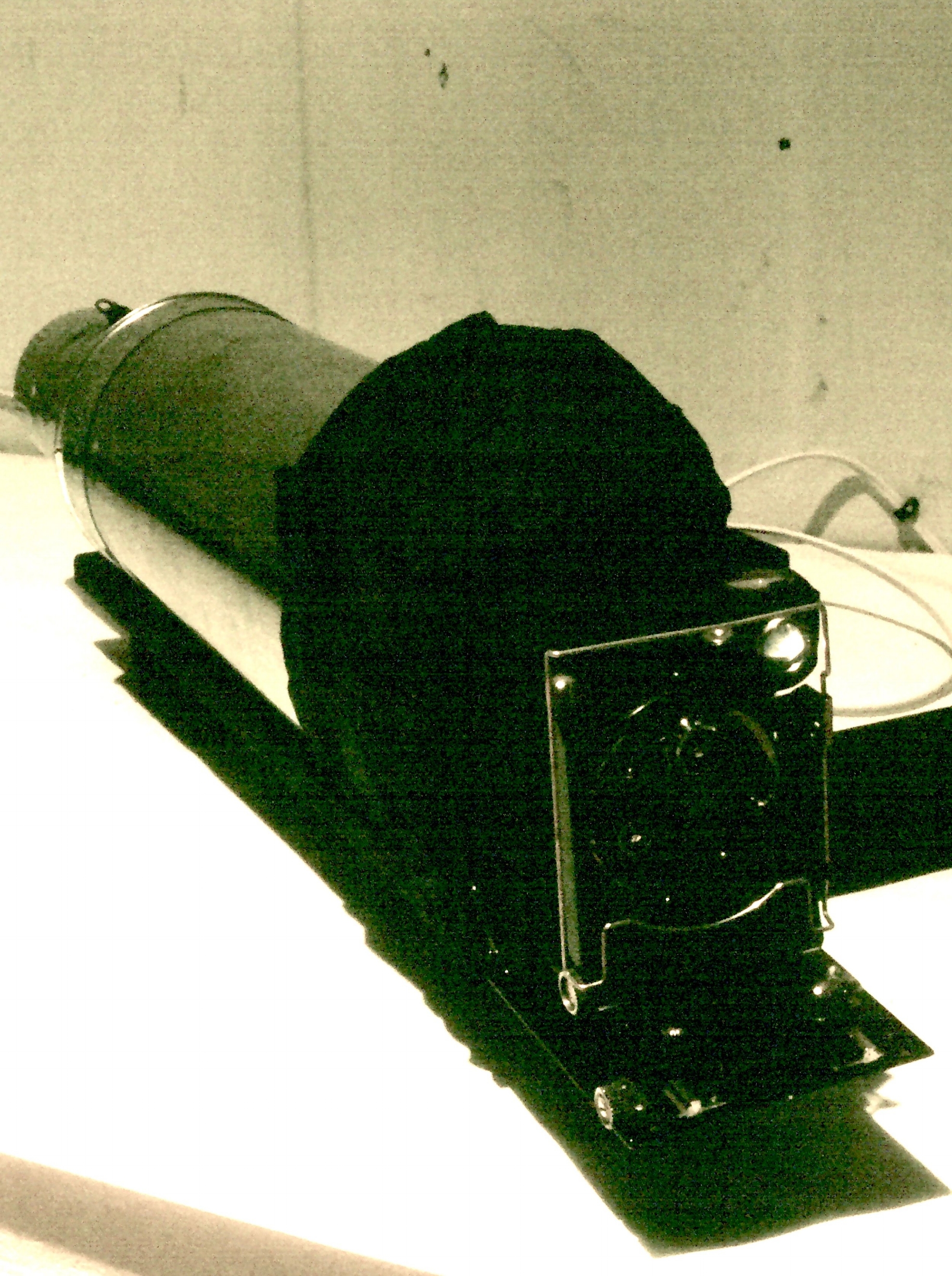 sc005606cb.jpg
