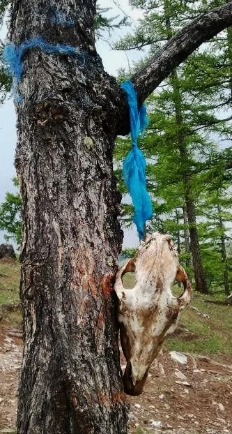 hangingskull.jpg