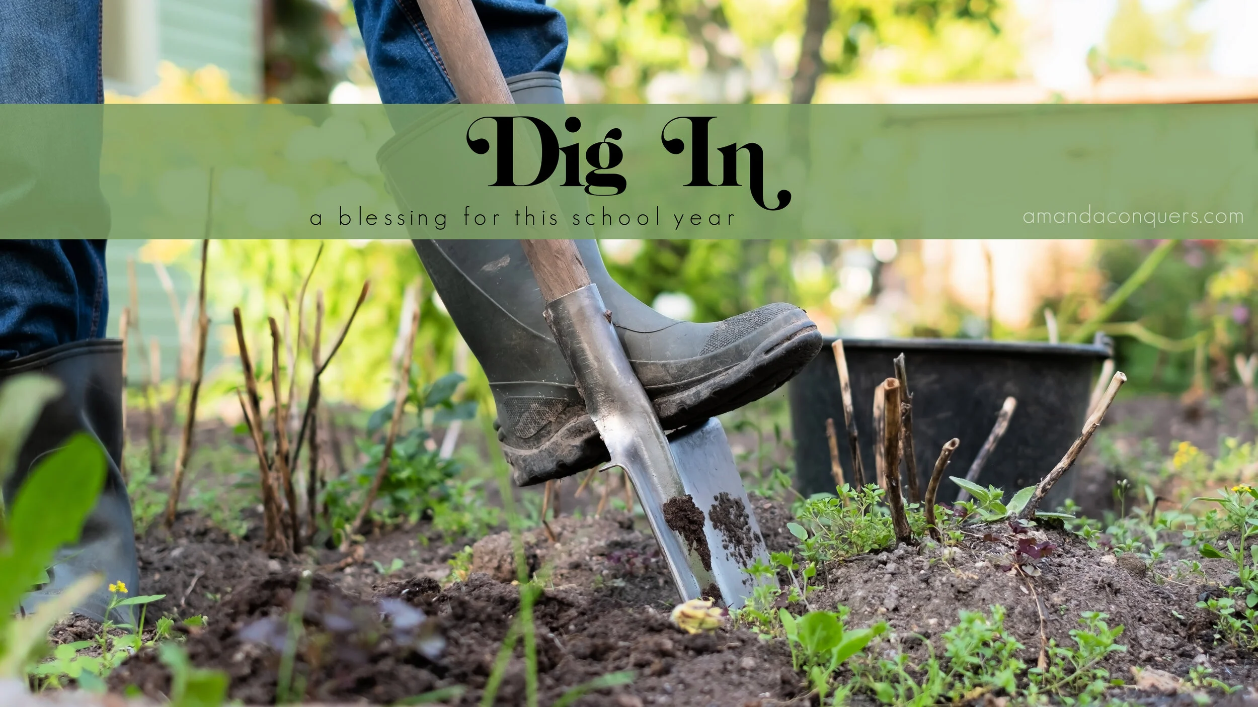 Dig In Problem Dig In: A Blessing for This School Year — Amanda Conquers